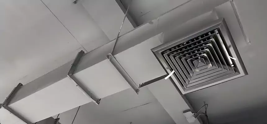 Our Rodent Droppings In Vents Services in Riverside, OH