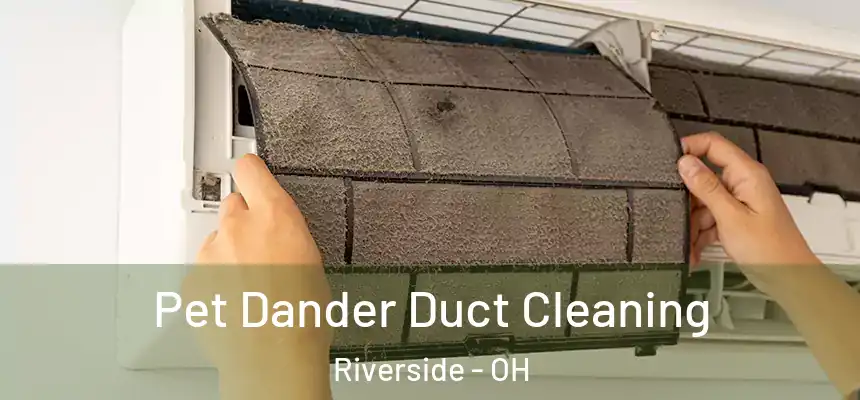 Pet Dander Duct Cleaning Riverside - OH