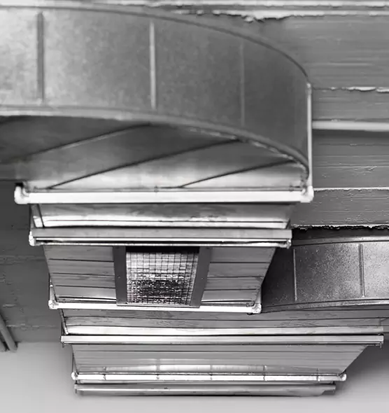 Professional Air Duct Pest Removal in Riverside, OH