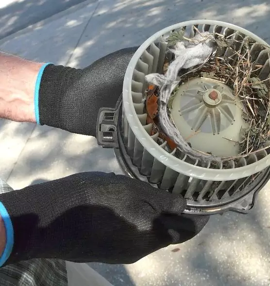 About Air Duct Rat Removal in Riverside, OH