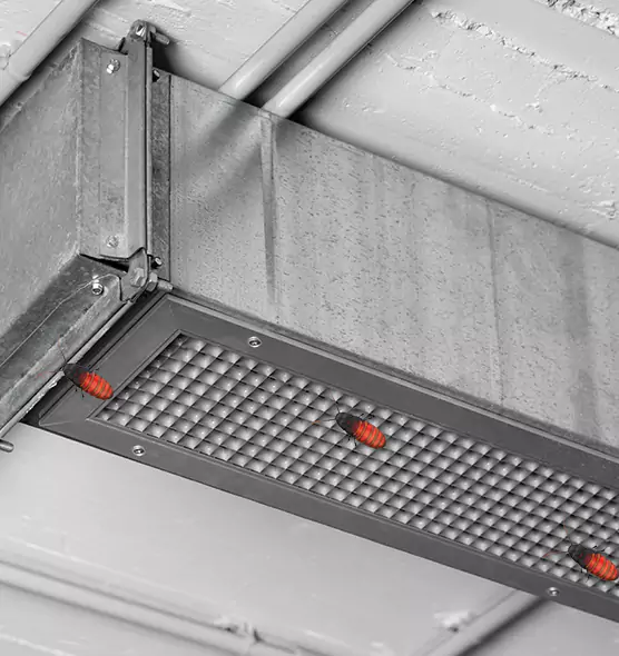 Affordable Insect Removal from Air Ducts in Riverside, OH