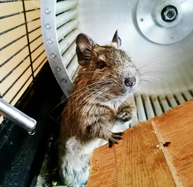 Why Homeowners & Businesses Trust Us Riverside, OH