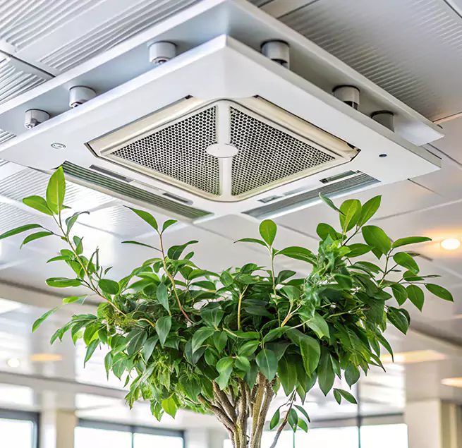 Why Homeowners & Businesses Trust Us in Riverside, OH