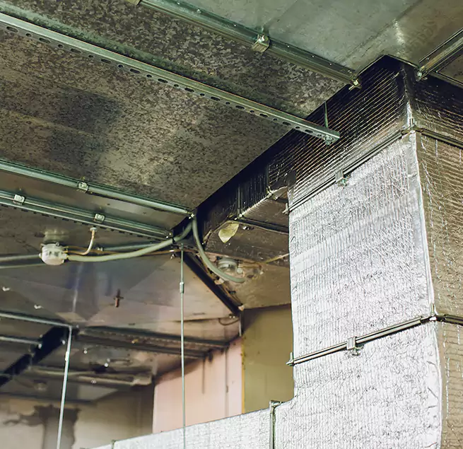 Why Homeowners & Businesses Trust Us in Riverside, OH?